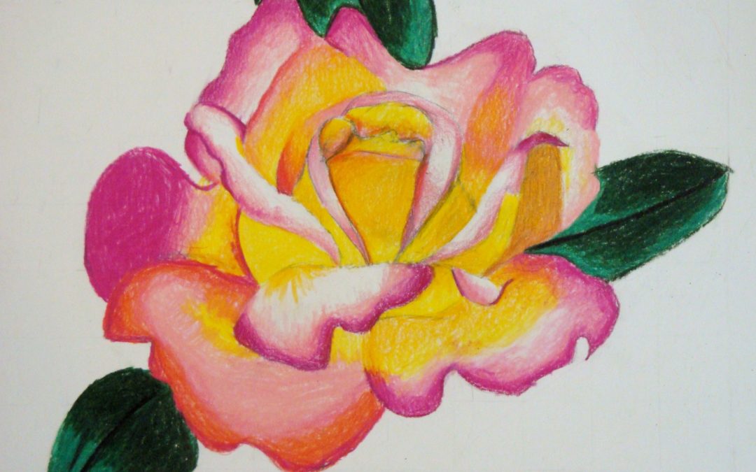 Colored Pencil Blending