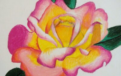 Colored Pencil Blending